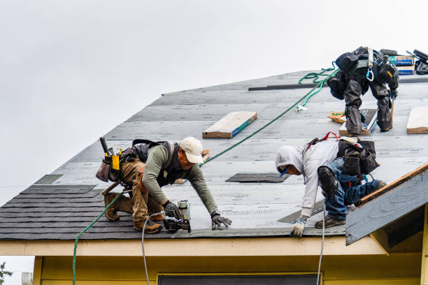 Professional Gutter Installation technician working in Nevis, MN